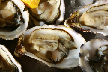 fresh oysters as gourmet exquisite sea food