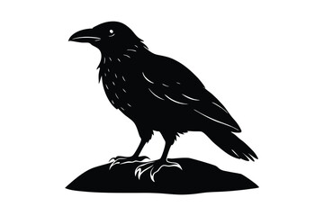 Fototapeta premium Black bird silhouettes, crow and raven, standing on a rock against white