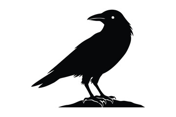 Black bird silhouettes, crow and raven, standing on a rock against white
