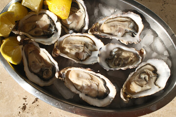 fresh oysters as gourmet exquisite sea food © fotoXS