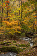 滝沢渓谷の風景
