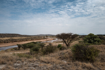 Dry savanna landscape with scattered acacia trees under dramatic, stormy skies