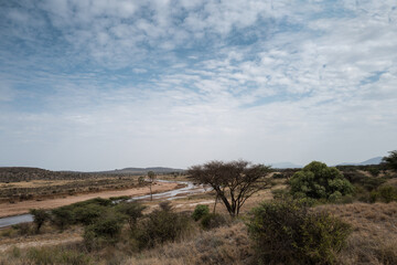 Dry savanna landscape with scattered acacia trees under dramatic, stormy skies