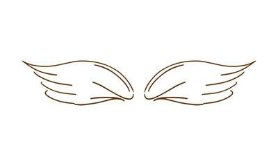 Fototapeta premium dove wings