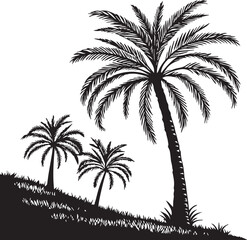 Obraz premium black silhouette of palm trees, palm trees vector isolated on white background