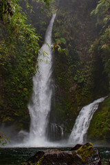 Hidden waterfall, Pumalin Park