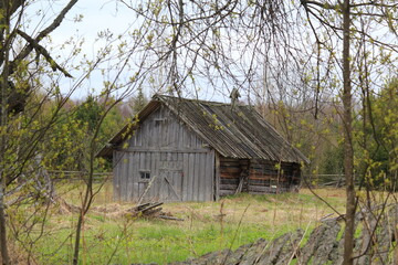 old abandoned bathhouse in the forest