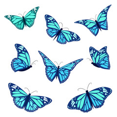 collection of fluttering butterflies. set of blue moth. abstract flying insects