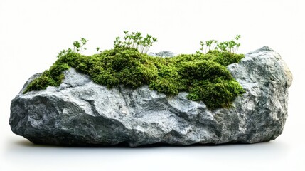 Serene stone adorned with vibrant moss and miniature plants against a bright backdrop nature's small world