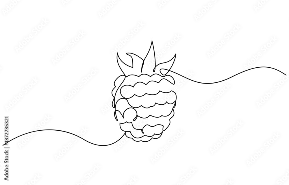Aufkleber Raspberry one line drawing. Continuous outline of Raspberry fruit, Vector illustration healthy food concept, Single continuous line drawing whole healthy organic raspberry.