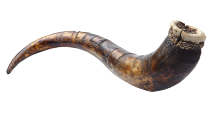 Traditional shofar horn with a curved, textured body and ancient, authentic details. Isolated on white background.