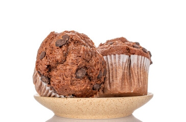 Two chocolate cupcakes on a ceramic saucer, isolated on a white background, close-up.