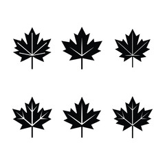 set of maple leaves