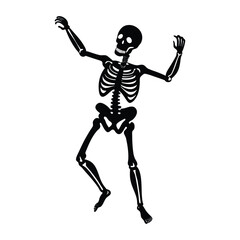 human skeleton with a skeleton