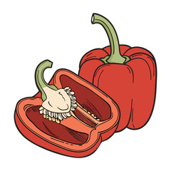 vector illustration of a red pepper