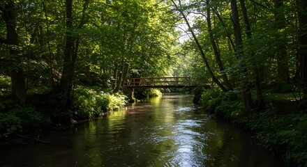Obraz premium Wooden Footbridge Spanning Calm River Amidst Lush Green Forest