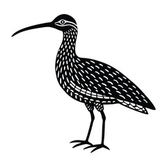 black crowned night heron