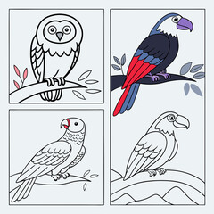 birds coloring pages