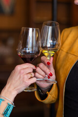Two women clink glasses of red and white wine in a cozy setting. A perfect moment for a romantic aperitif or a friendly get-together.