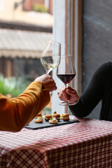 Two women clink glasses of red and white wine in a charming setting by the window, sharing a romantic aperitif or a friendly moment with delicious appetizers.