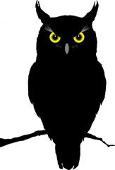 A black owl with yellow eyes