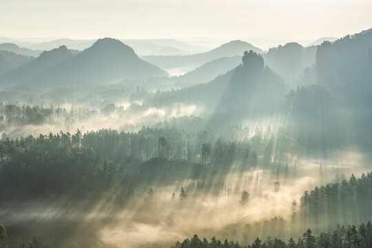 Early morning fog over the Elbe Sandstone Mountains in Saxon Switzerland, Saxony, Germany