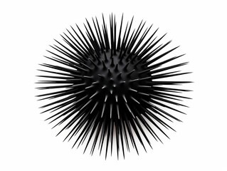 Long-Spined Sea Urchin, clipart, illustration isolate on white background