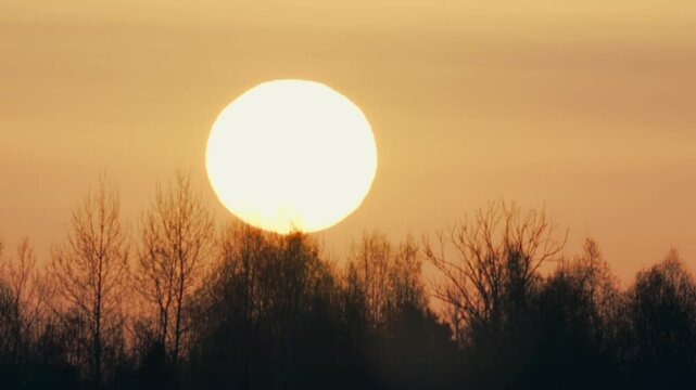 Red Sunrise with Fog and Silhouettes of Trees in Forest on Sunny Morning