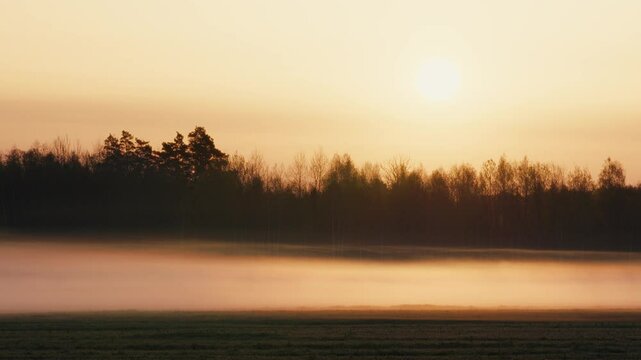 Red Sunrise with Fog and Silhouettes of Trees in Forest on Sunny Morning