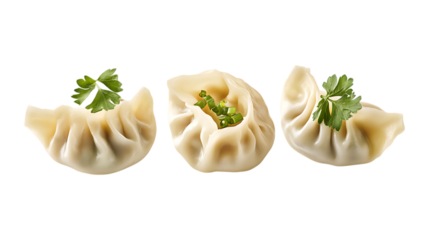 Dumplings Set in Three Poses on Transparent Background for Food Illustrations, Restaurant Branding, or Culinary Promotions