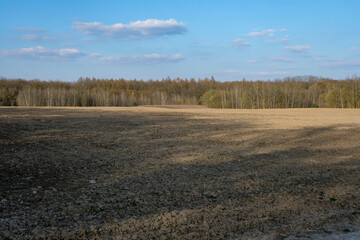 Field of the cultivated land in front of the forest. Clay-rich or heavy loam soil. Dry, clumpy, and compacted soil. Copy space.