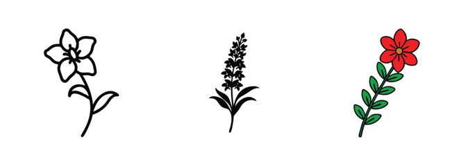 Floral Designs Simple Lily, Lavender, and Red Flower Illustrations