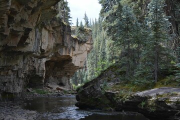 waterfall in the forest