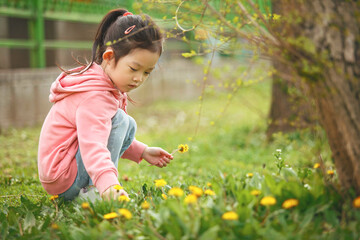 Little Girl Picking Flowers in Spring Park