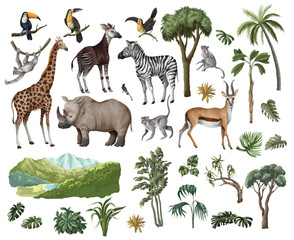 Jungle animals and trees isolated. Palm trees, giraffe, okapi, zebra etc. Vector. © Yumeee