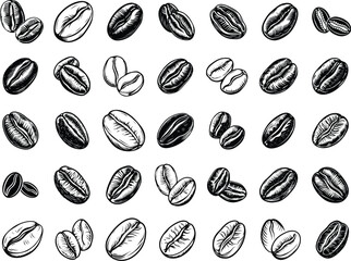 Coffee Beans SVG