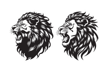 Bold Lion Head Illustrations Fierce Black and White Designs