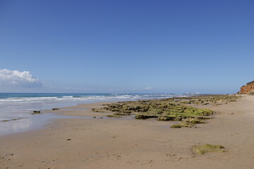 PLAYA DE LA BARROSA. CHICLANA. CADIZ.