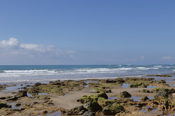 PLAYA DE LA BARROSA. CHICLANA. CADIZ.