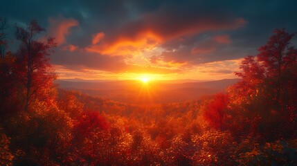 Fototapeta premium Sunlight shining through colorful autumn forest high resolution picture