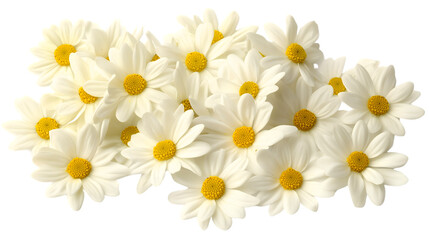Fototapeta premium Isolated Spring Flowers and Botanical Elements – Realistic Floral Cutouts on White Background