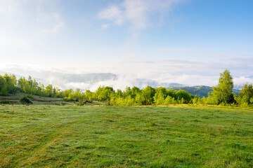 carpathian countryside with alpine meadow. outdoor adventure. sunny morning. scenery of ukrainian highland with grassy field in spring. landscape with distant valley in fog. green environment