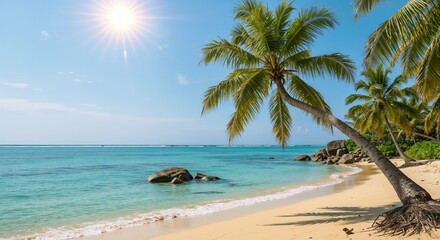 Obraz premium Tropical beach with palm trees and clear water under a bright sun