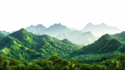 Fototapeta premium Exploring lush green mountains nature landscape photography tropical environment serene viewpoint
