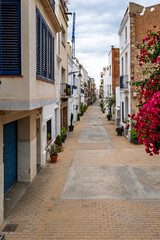 Fototapeta premium Bougainvillea and hydrangeas decorating narrow street in mongat, spain