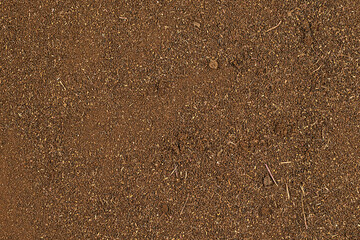 Close-up view of a land surface with detailed textures in brown tones