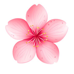 Pink Flower Blossom Delicate Petals Soft Bloom,