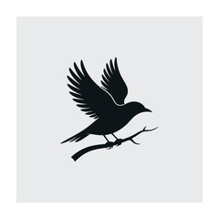 Flying bird silhouette. Bird silhouette vector illustration