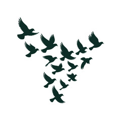 Flying bird silhouette. Bird silhouette vector illustration