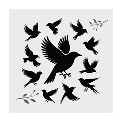 Flying bird silhouette. Bird silhouette vector illustration
